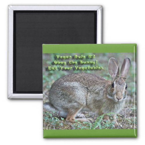 Vegan Rule 2 Obey the Bunny Gifts  Apparel Magnet