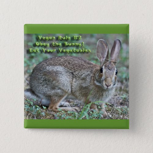Vegan Rule 2 Obey the Bunny Gifts  Apparel Pinback Button