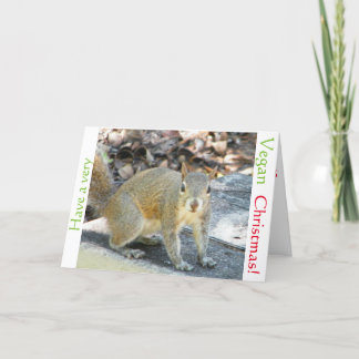 Vegan squirrel Christmas card