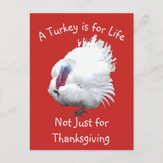 Vegan Thanksgiving Turkey Postcard (Front)