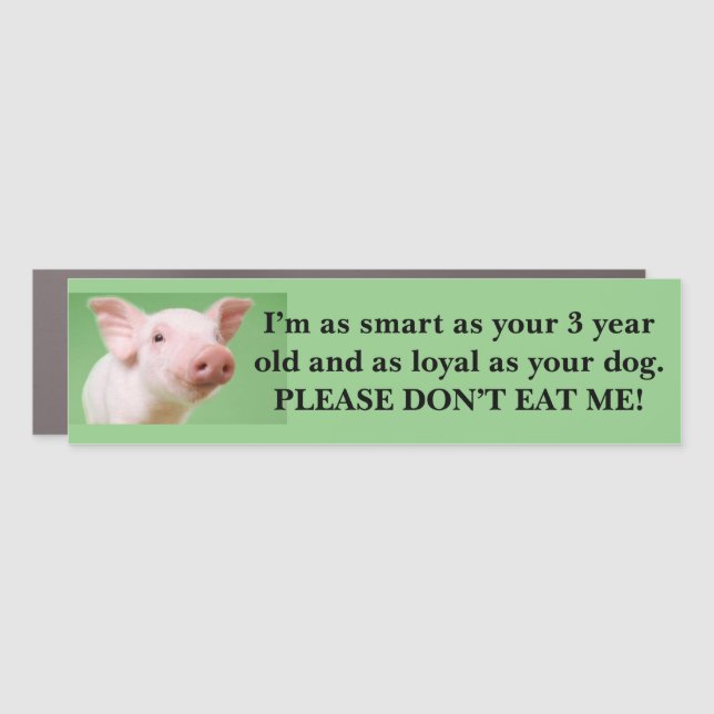 Vegan, vegetarian, animal rights, pig, environment car magnet (Front)