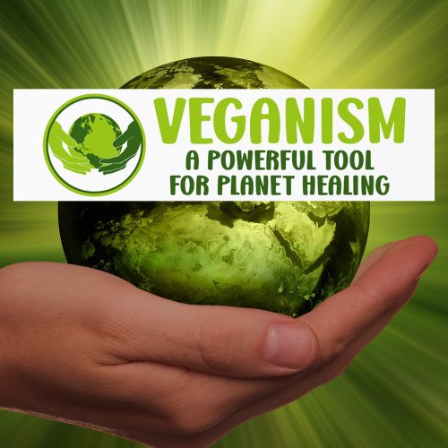 Veganism Good For You Better For All Activism  Bumper Sticker