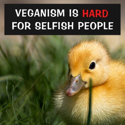 Veganism is hard for selfish people Vegan Bumper Sticker