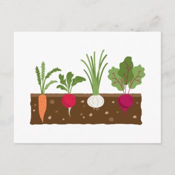 Vegetable Garden Postcard by HopscotchDesigns at Zazzle