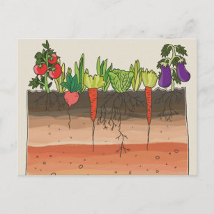 Vegetable garden soil earth layers nature art postcard