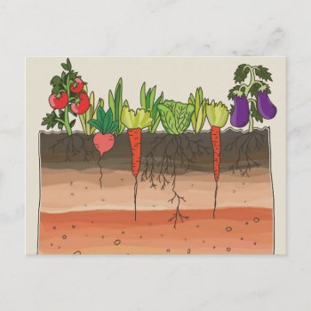 Vegetable Garden Soil Earth Layers Nature Art Postcard by BadEnglishCat at Zazzle