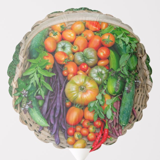 Vegetable Harvest Basket Balloon (Front)