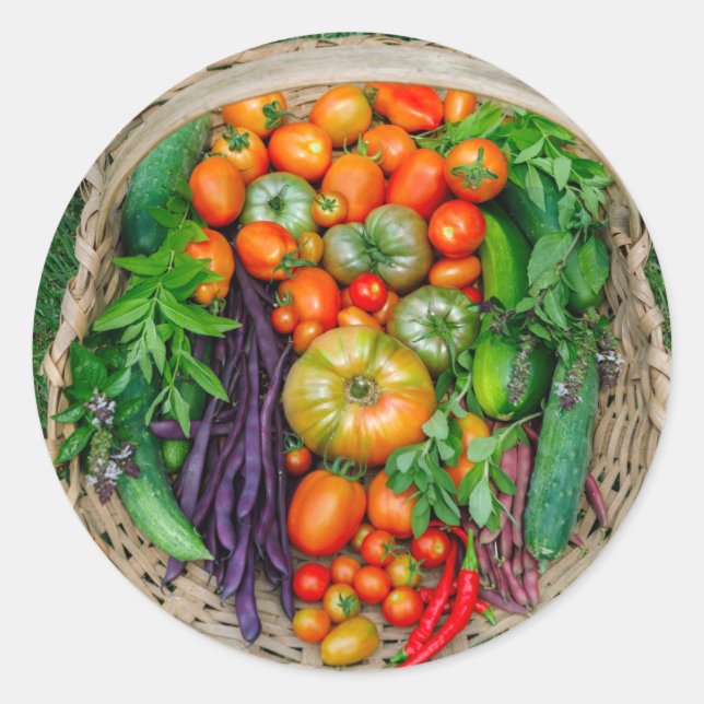 Vegetable Harvest Basket Classic Round Sticker (Front)