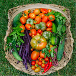 Vegetable Harvest Basket Cutout