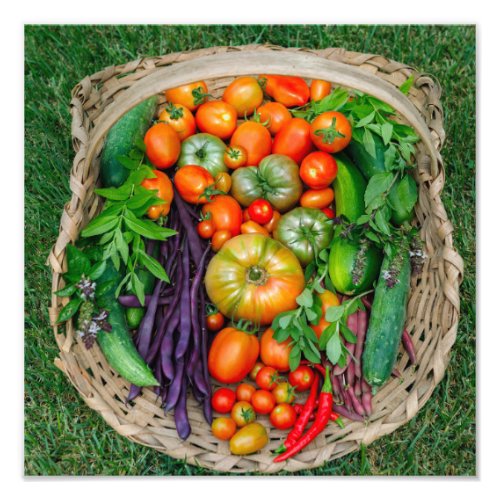 Vegetable Harvest Basket Photo Print