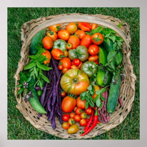 Vegetable Harvest Basket Poster