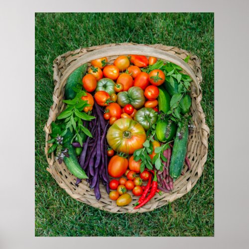 Vegetable Harvest Basket Poster