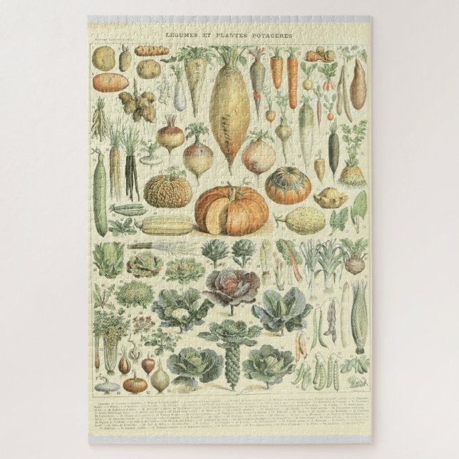 Vegetable Identification Chart Jigsaw Puzzle (Vertical)