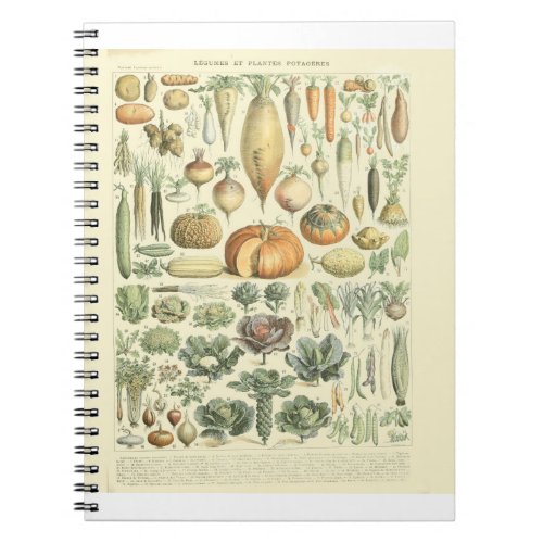 Vegetable Identification Chart Notebook