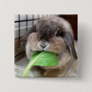 Vegetable munching bunny pinback button