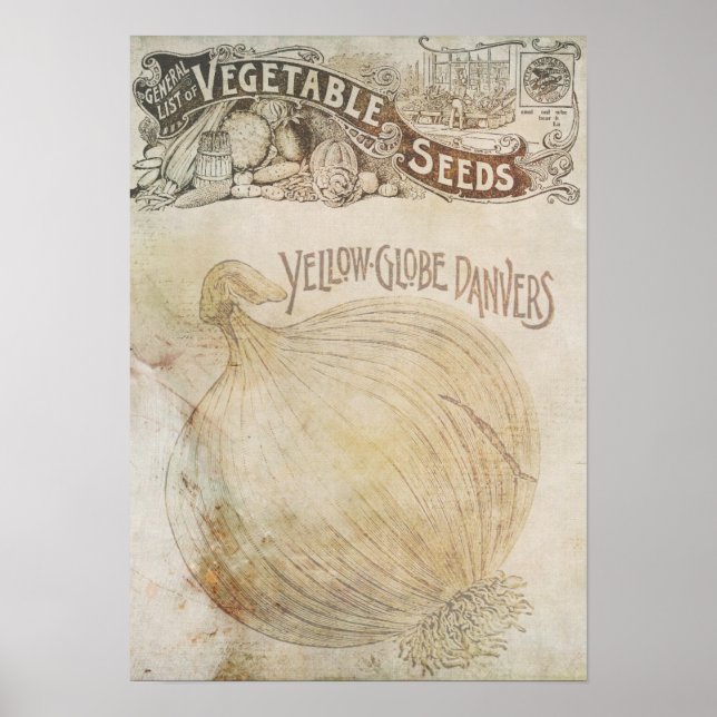 Vegetable Poster (Front)