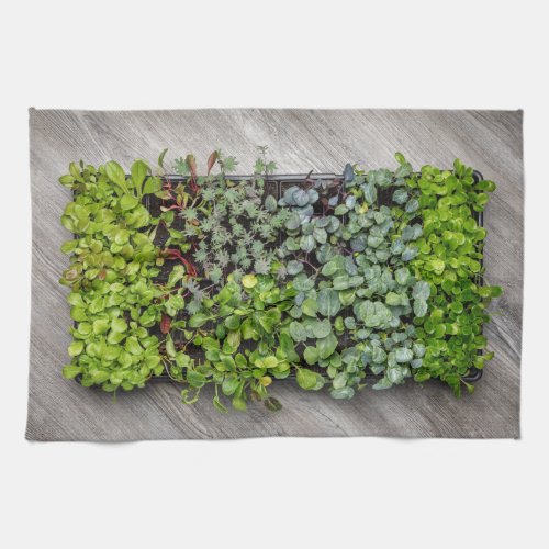Vegetable Seedlings Kitchen Towel
