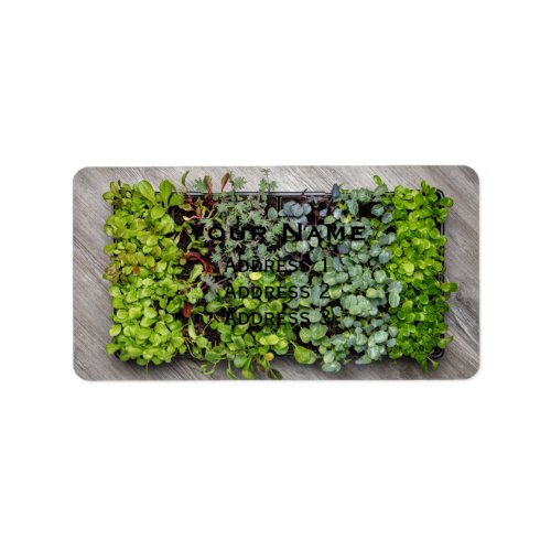 Vegetable Seedlings Label