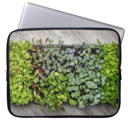 Vegetable Seedlings Laptop Sleeve