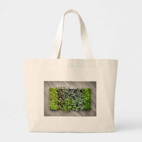 Vegetable Seedlings Large Tote Bag