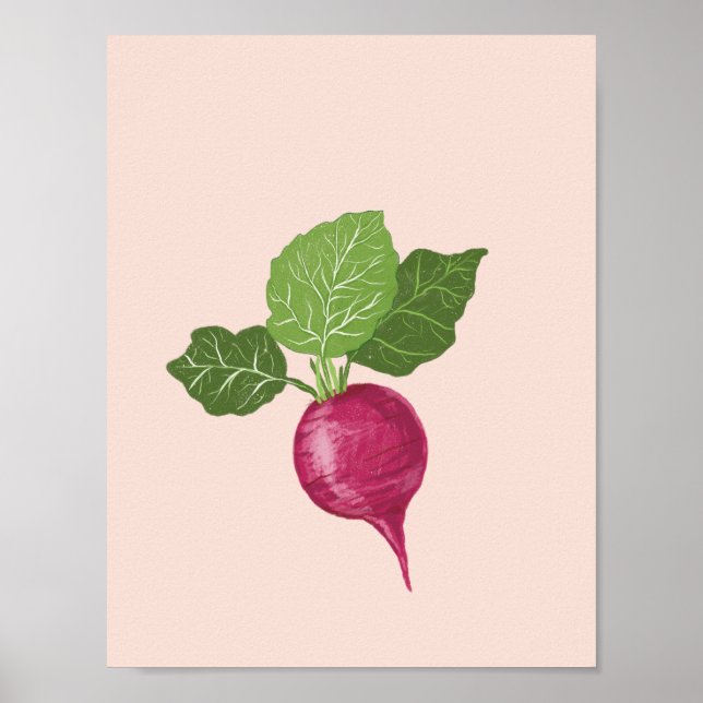 Vegetable wall art - Raddish illustration (Front)