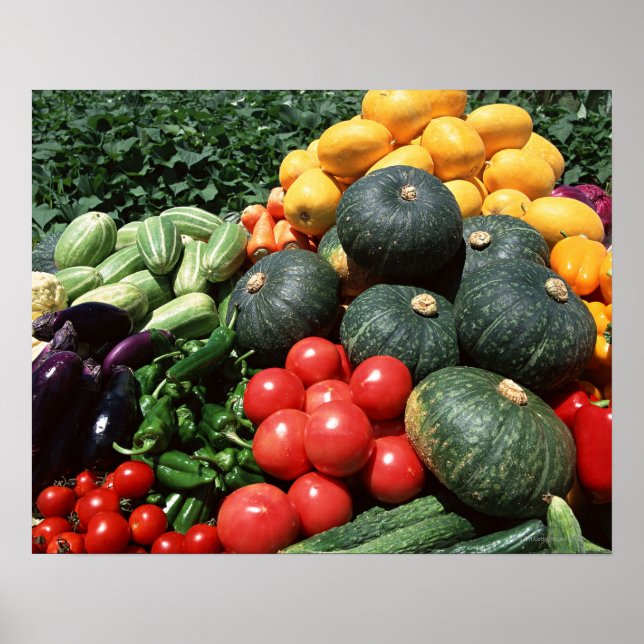 Vegetables 2 poster (Front)
