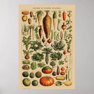Vegetables Vintage French Book Page Poster