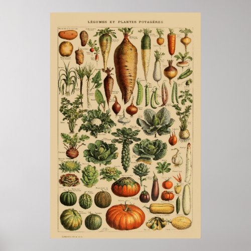 Vegetables Vintage French Book Page Poster