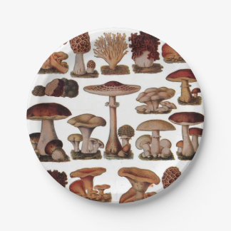 Vegetarian hipster steampunk vintage mushroom paper plates