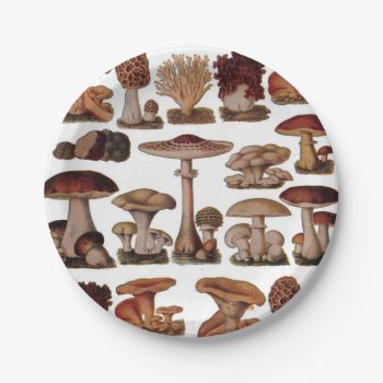 Vegetarian Hipster Steampunk Vintage Mushroom Paper Plates by cranberrysky at Zazzle