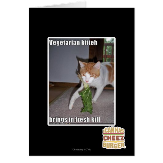 Vegetarian Kitteh Cards (Front)