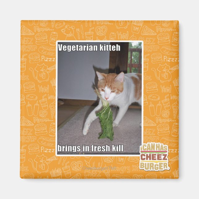 Vegetarian Kitteh Magnet (Front)
