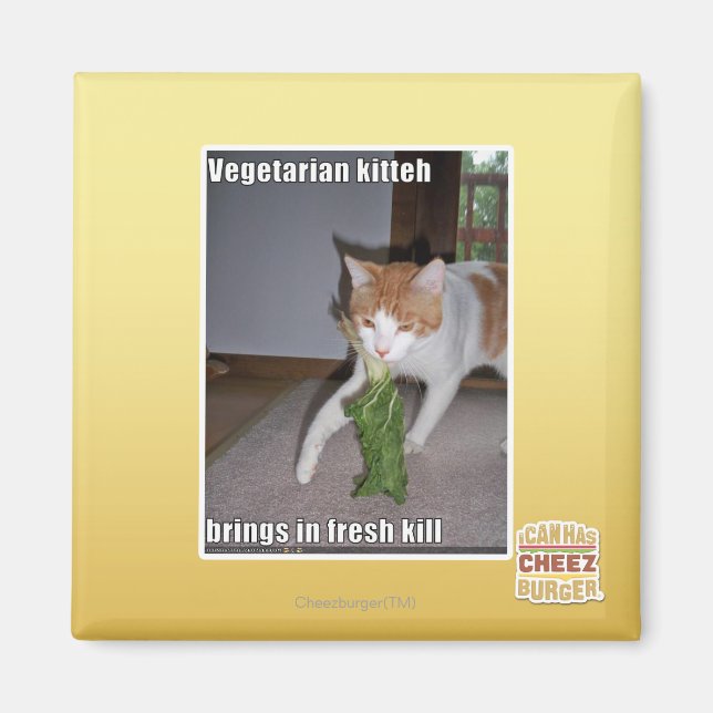 Vegetarian Kitteh Magnet (Front)