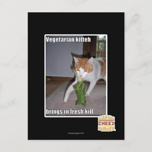 Vegetarian Kitteh Postcard