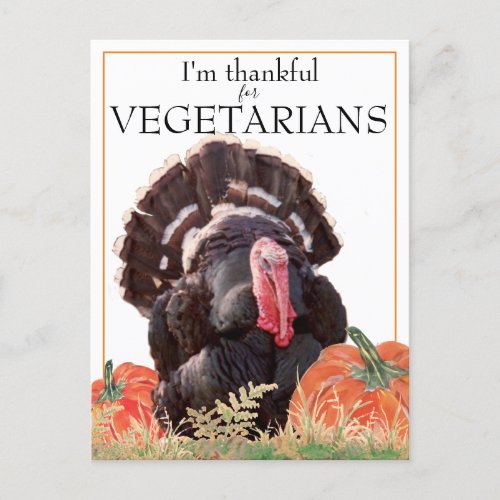 Vegetarian VeganThanksgiving Turkey Photo Thanks Holiday Postcard
