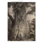 Vegetation in Samoa (Front)