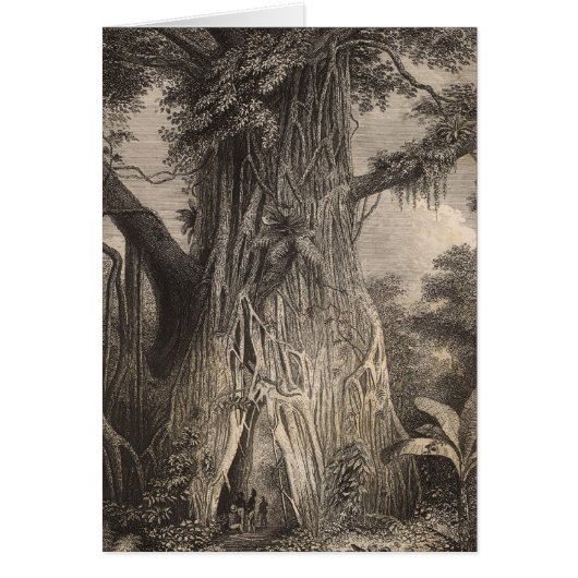 Vegetation in Samoa Cards (Front)