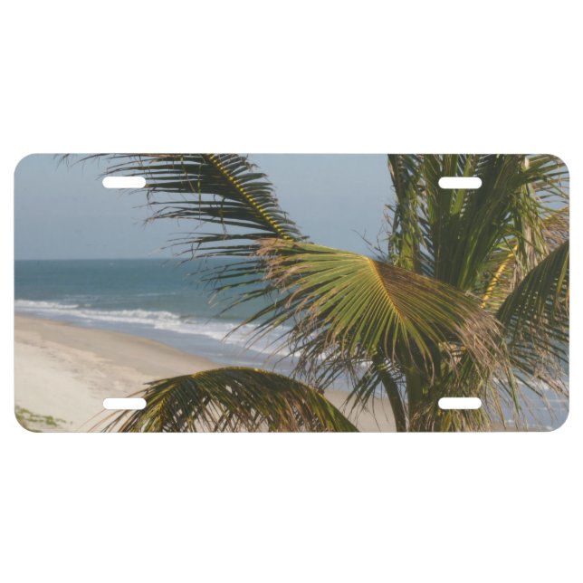 Vehicle Vanity Plate (Front)