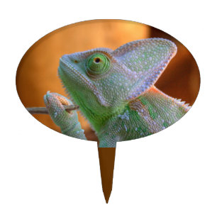 Veiled Chameleon Cake Topper