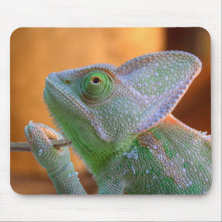 Veiled Chameleon Mouse Pad