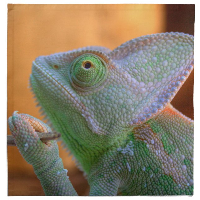 Veiled Chameleon Napkin (Front)