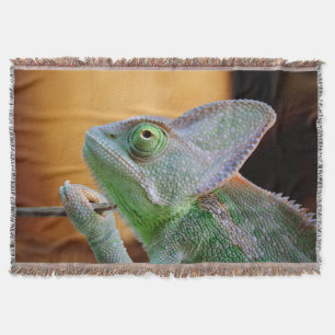 Veiled Chameleon Throw Blanket