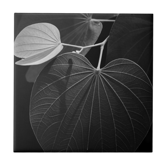 Veins of a Leaf Ceramic Tile (Front)