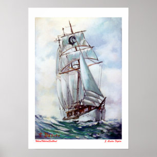 Velero/Veleiro/Sailboat Poster