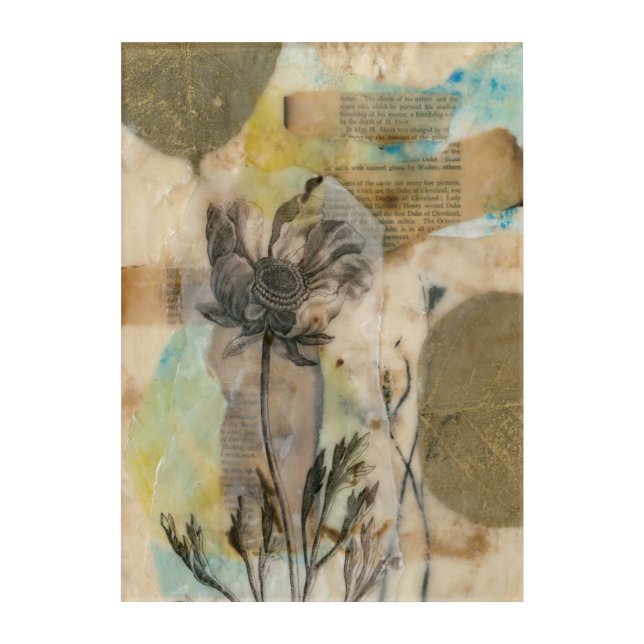 Vellum Floral II Acrylic Print (Front)