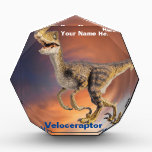 Velociraptor Acrylic Award<br><div class="desc">Velociraptor Large Acrylic Octagon Display looks like a brilliant gem-cut faceted acrylic octagon award with an amber-looking background. This free-standing display showcases my dinosaur theme designs, and text, in vibrant clarity and brilliant colors, a beautiful Jurassic, Prehistoric display that measures 7.5"h x 7"l x 1"w and stands on flat surfaces...</div>