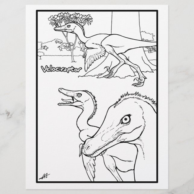 Velociraptor - Coloring page. (Front)