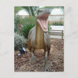 Velociraptor Dinosaur Postcard