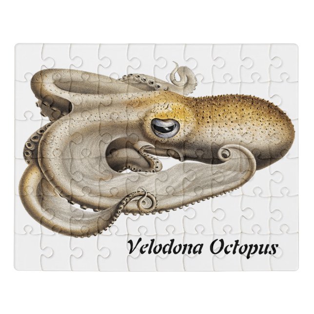 Velodona octopus (1898-1899) jigsaw puzzle (Puzzle Horizontal)