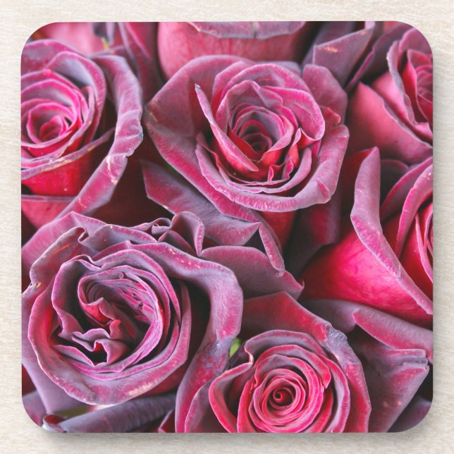 Velvet Beauty Coaster (Front)